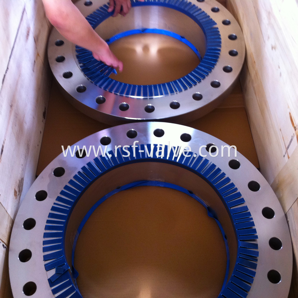 Stainless Steel Flange Wn